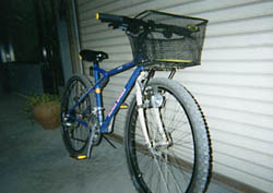 Maruishi BLACK EAGLE