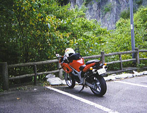 さみしそうな400 日塩もみじライン